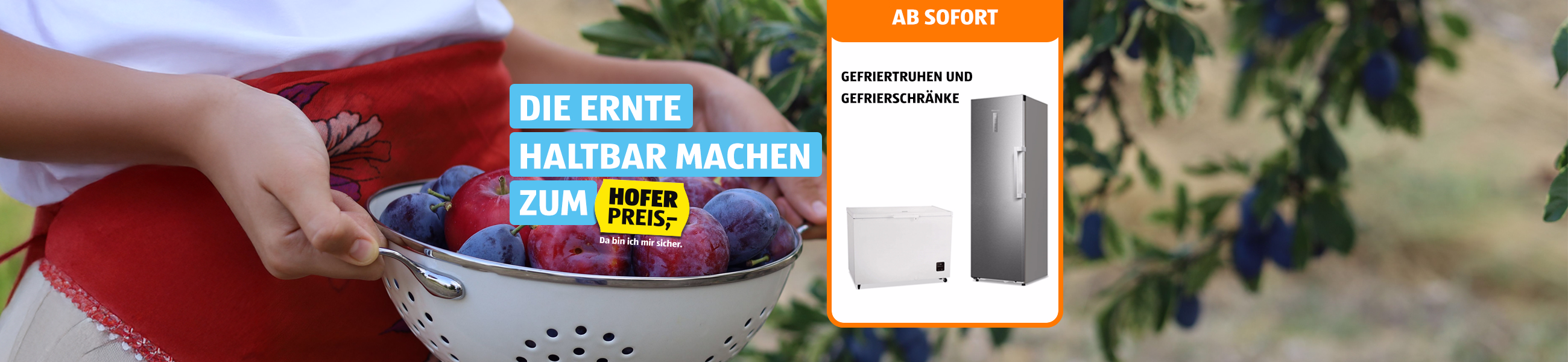 Einfrieren zum HOFER Preis